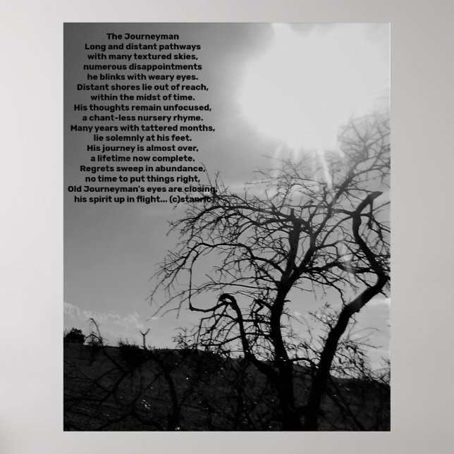 AFFICHE STYLES D'AFFICHES ET DE DESIGN  (Devant)
