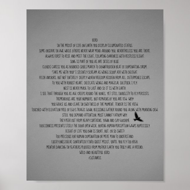 AFFICHE STYLES D'ART ET DE DESIGN D'AFFICHE (Devant)