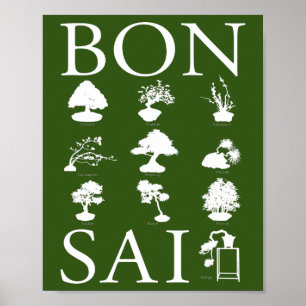 Affiche Styles de base de l'arbre Bonsai