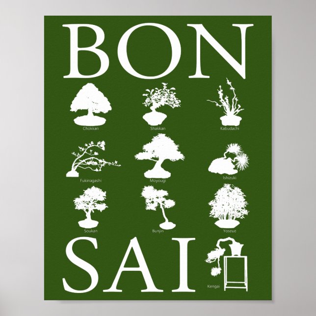 Affiche Styles de base de l'arbre Bonsai (Devant)