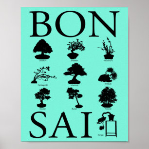 Affiche Styles de base de l'arbre Bonsai