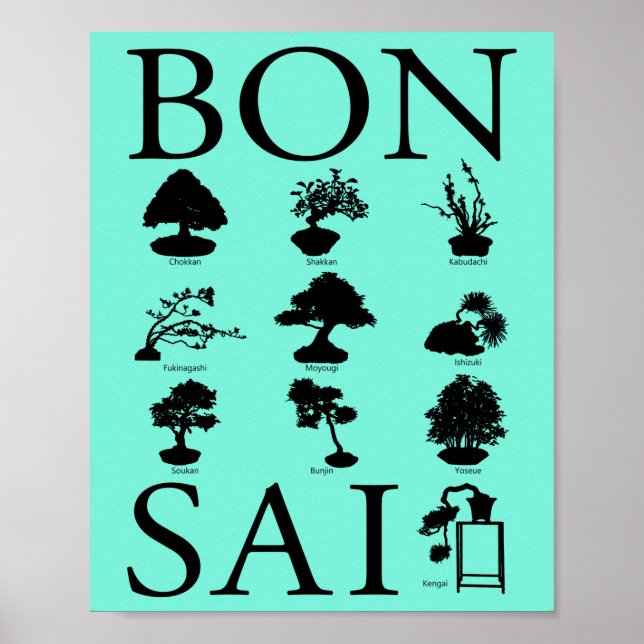 Affiche Styles de base de l'arbre Bonsai (Devant)