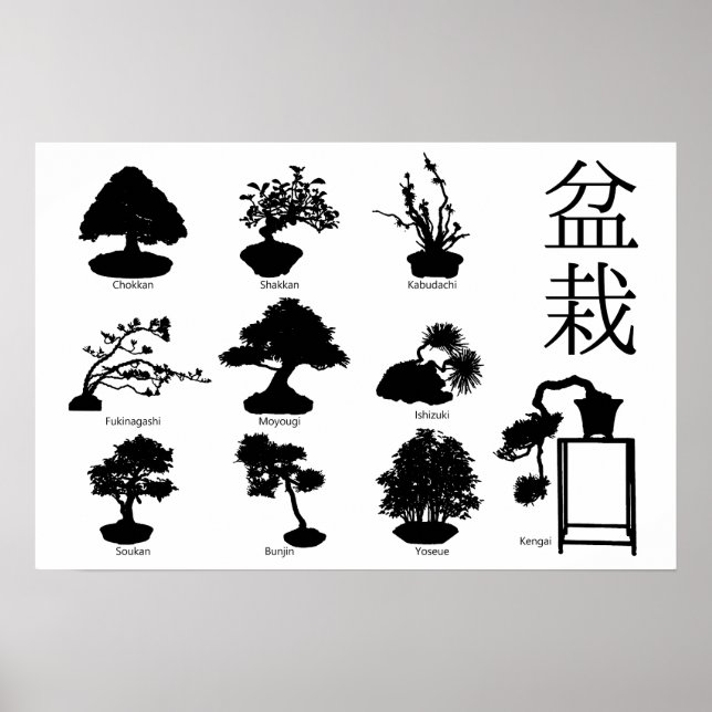 Affiche Styles de base de l'arbre Bonsai 10 (Devant)
