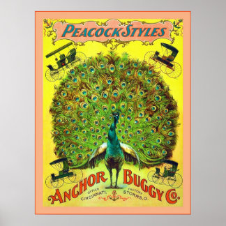 Affiche Styles Peacock ~ Ancre Buggy Co. ~ Advert Vintage