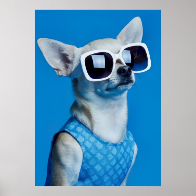 Affiche Stylish Chihuahua in Sunglasses (Devant)