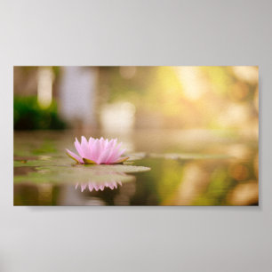 Affiche Stylish Lotus Flower Landscape, Zen