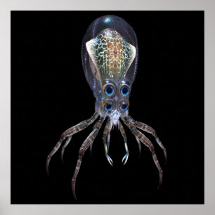 Affiche Subnautica Crabsquid