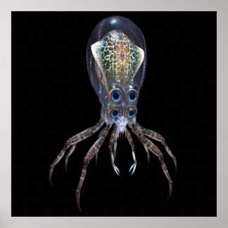 Affiche Subnautica Crabsquid