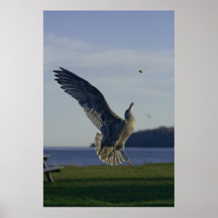 Affiche Succès dans Reach fine art