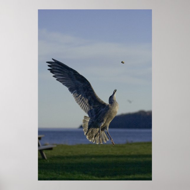 Affiche Succès dans Reach fine art (Devant)