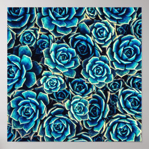Affiche Succulents