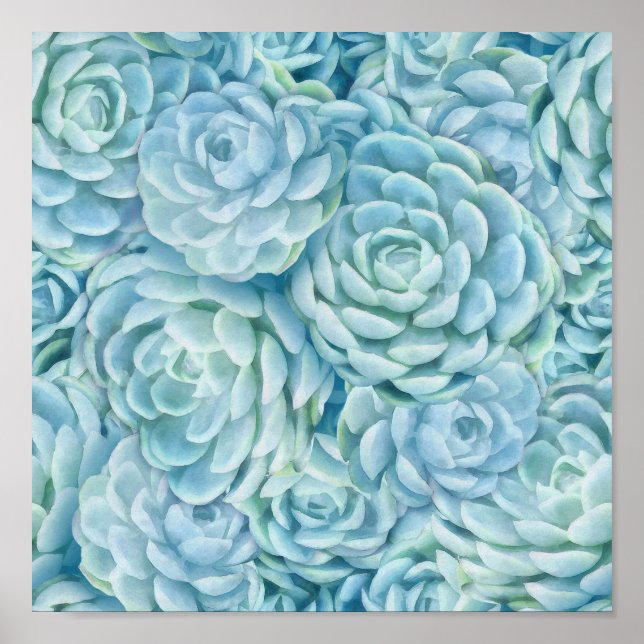 Affiche Succulents bleus (Devant)