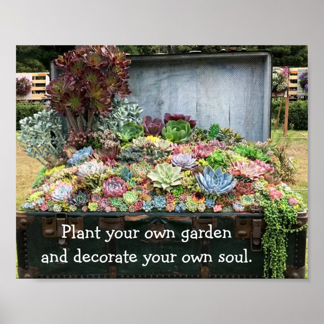 Affiche Succulents dans la poitrine au trésor (Devant)