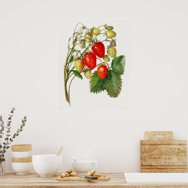 Affiche Succursale vintage de fraises (Cuisine)