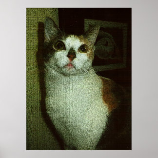 Affiche Sucrerie Angélique