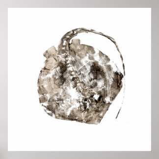 Affiche Sud de Stingray