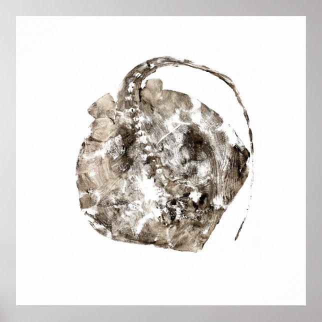 Affiche Sud de Stingray (Devant)