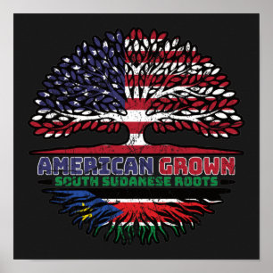 Affiche Sud-Soudan Sud-Soudan Amérique États-Unis racines