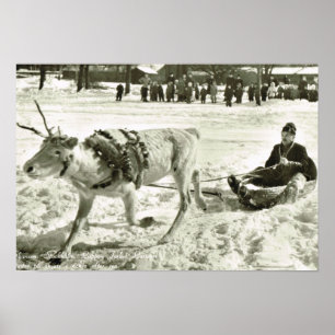Affiche Suède vintage, Reindeer traîneau, Folk Museum,