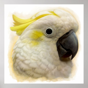 Affiche Sulphur Crested Cockatoo realistic painting