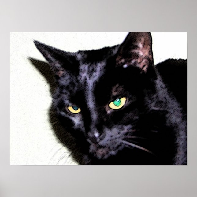 Affiche Sumio de chats noirs (Devant)