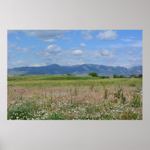 Affiche Summer Colorado landscape