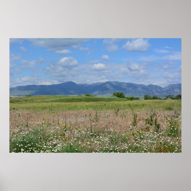 Affiche Summer Colorado landscape (Devant)