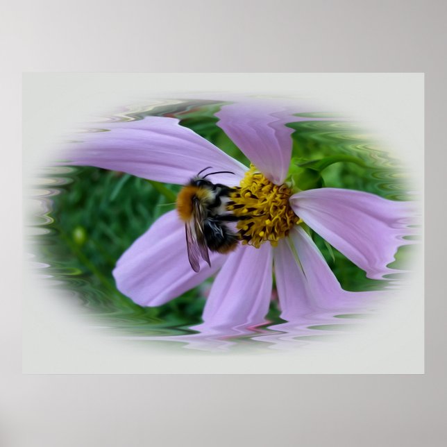 Affiche Summer heat (Devant)