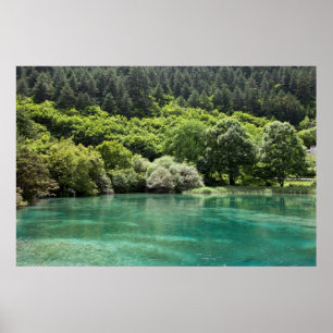 Affiche Summer in Jiuzhaigou Valley