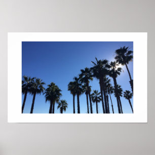 Affiche Summer Ocean Palms et Sky Color Photography