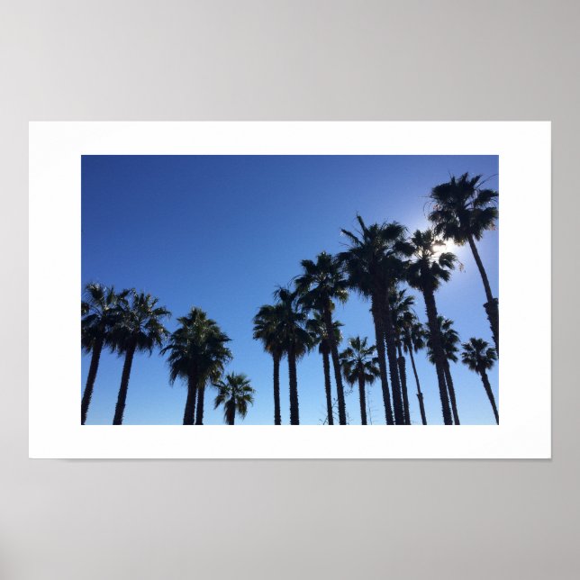 Affiche Summer Ocean Palms et Sky Color Photography (Devant)