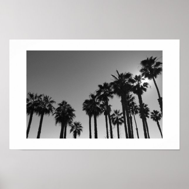 Affiche Summer Ocean Palms Photographie noir et blanc (Devant)