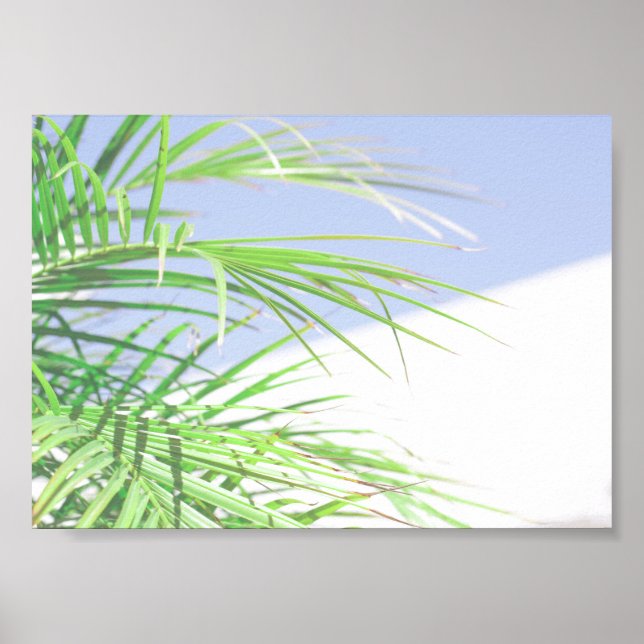 Affiche Summer Vibes Palm Tree Leaves Pale Green Pastel (Devant)