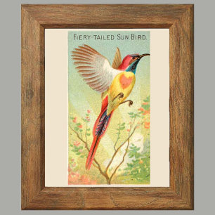 Affiche Sun Bird, Set 6 Bird Gallery Wall, 2 sur 6