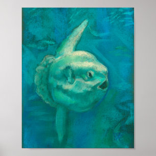 Affiche Sun Fish, Mola Mola Ocean Underwater Animaux Art P