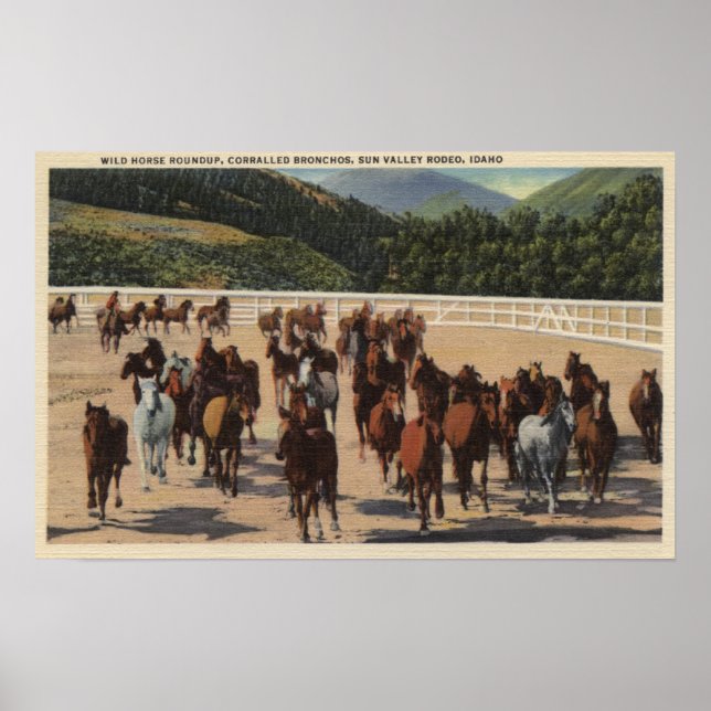 Affiche Sun Valley, ID - Wild Horse Roundup (Devant)
