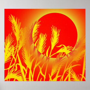 Affiche Sun Wheat