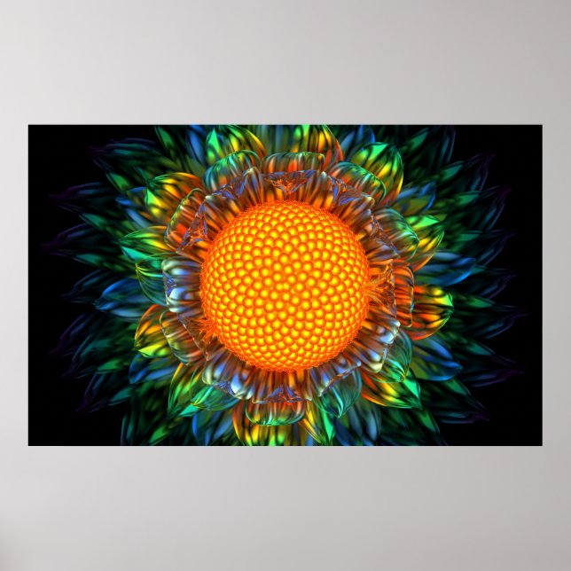 Affiche Sunburst Daisy (Devant)