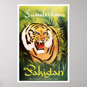 Affiche Sunderban National Park Pakistan voyage vintage