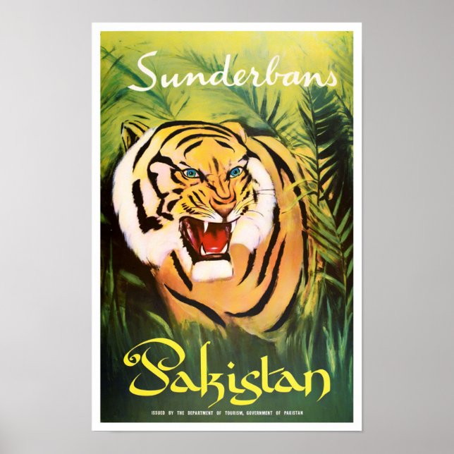 Affiche Sunderban National Park Pakistan voyage vintage (Devant)