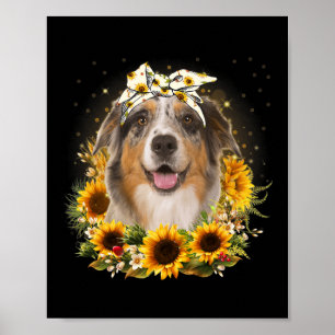 Affiche Sunflower Australian Shepherd Chien Fête des mères