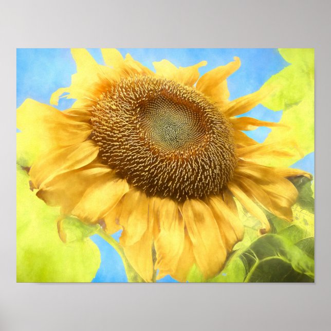 Affiche Sunflower Country Russe Yellow Aquarelle (Devant)