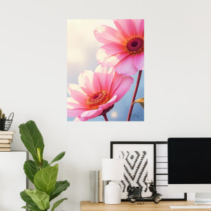 Affiche Sunkissed Saumon