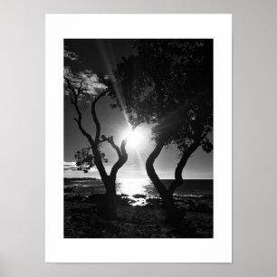 Affiche Sunlit Shore Hawaii Photographie noir et blanc