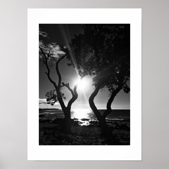 Affiche Sunlit Shore Hawaii Photographie noir et blanc (Devant)