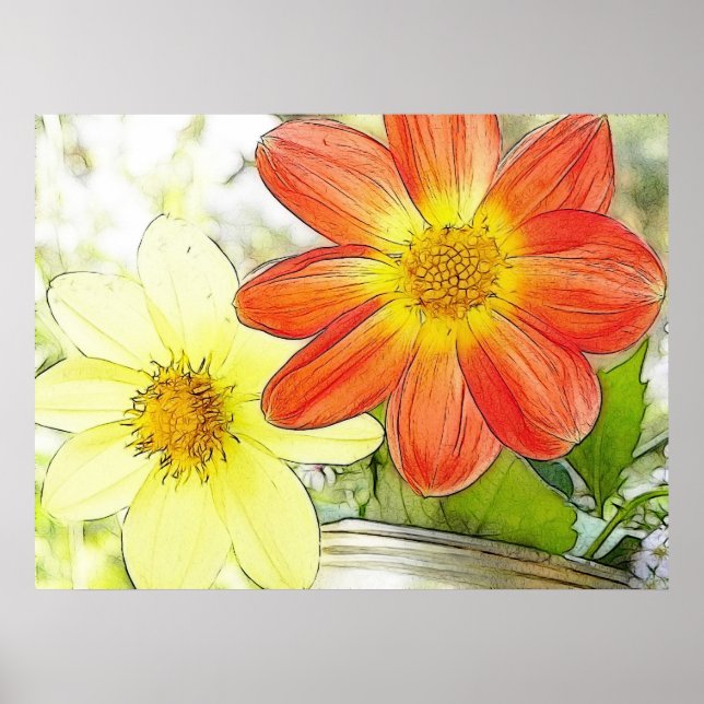 Affiche Sunny Dahlias (Devant)