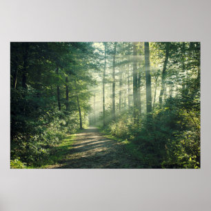 Affiche Sunny Octobre Matin à Hambourg