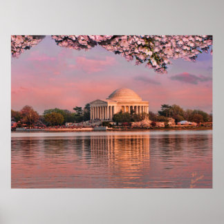 Affiche Sunset at Jeferson Memorial with Cherry Blossoms