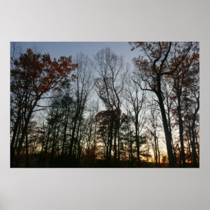 Affiche Sunset de novembre