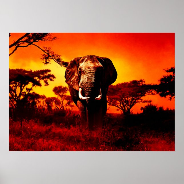 Affiche Sunset Elephant (Devant)